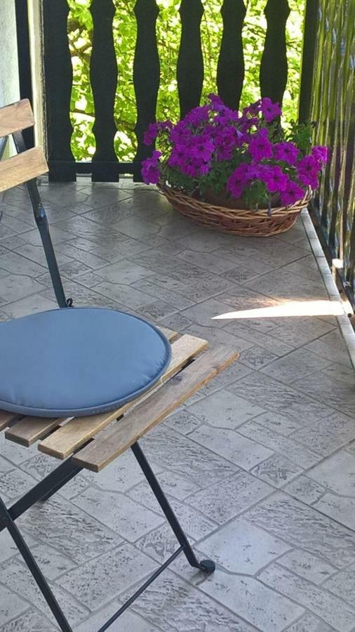 Apartman Ruzica Ogulin Exteriör bild